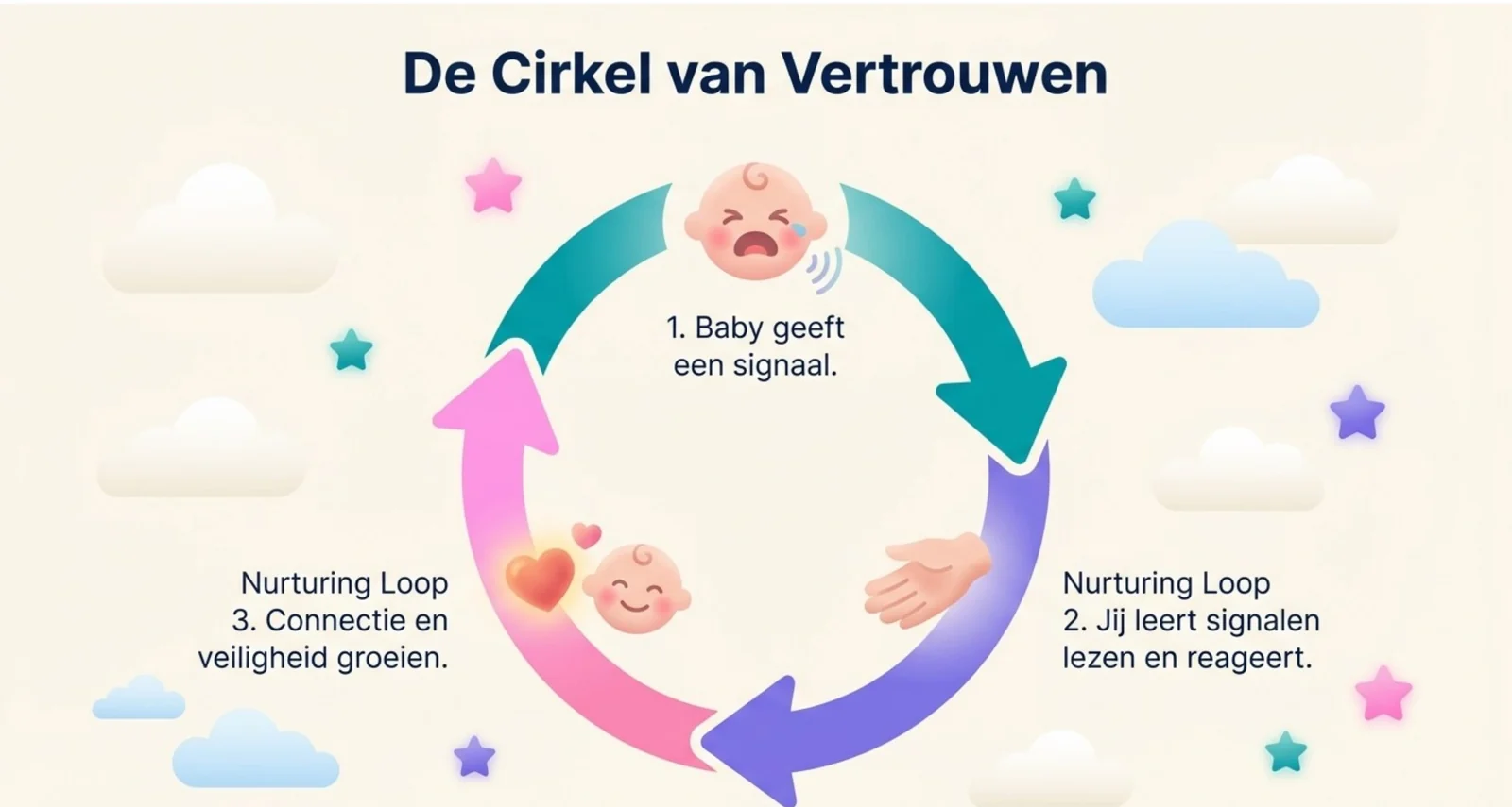 De cirkel van vertrouwen in drie stappen: je baby geeft een signaal, jij leert die signalen lezen en reageert, en daaruit groeien connectie en veiligheid.