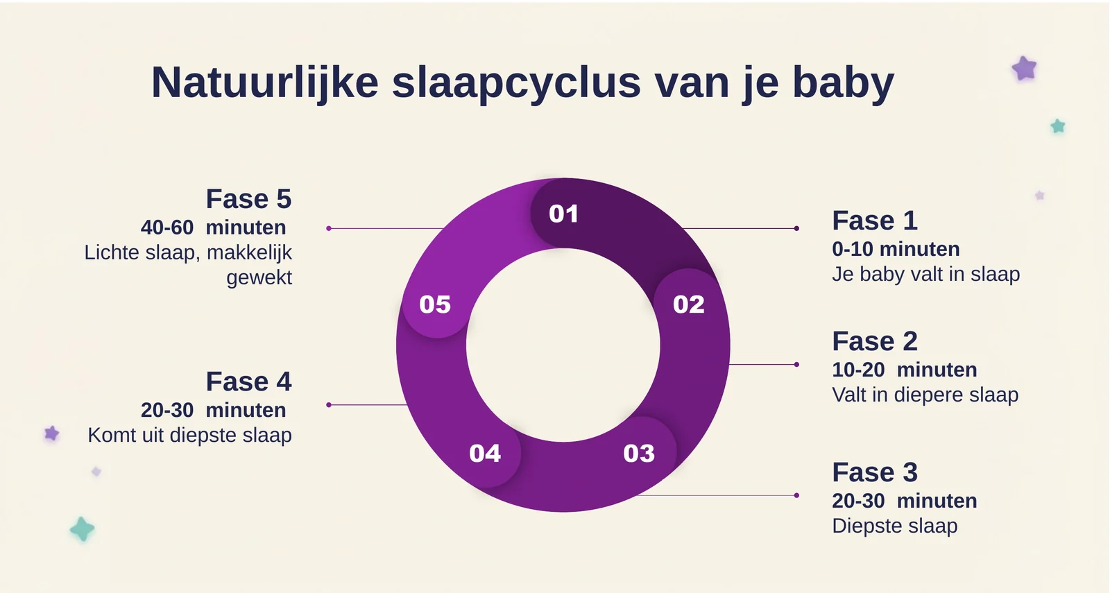 De vijf fasen van een babyslaapcyclus als cirkeldiagram: 0 tot 10 minuten in slaap vallen, 10 tot 20 minuten diepere slaap, 20 tot 30 minuten diepste slaap, 20 tot 30 minuten uit de diepste slaap komen, en na 40 tot 60 minuten lichte slaap waarin de baby makkelijk wakker wordt.