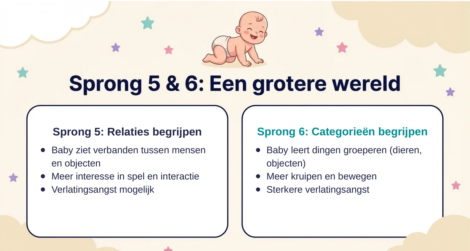 Slide uit de cursus over sprong 5 en 6: sprong 5 gaat over relaties begrijpen met meer interesse in spel en mogelijke verlatingsangst, sprong 6 over categorieën begrijpen met meer kruipen en een sterkere verlatingsangst.