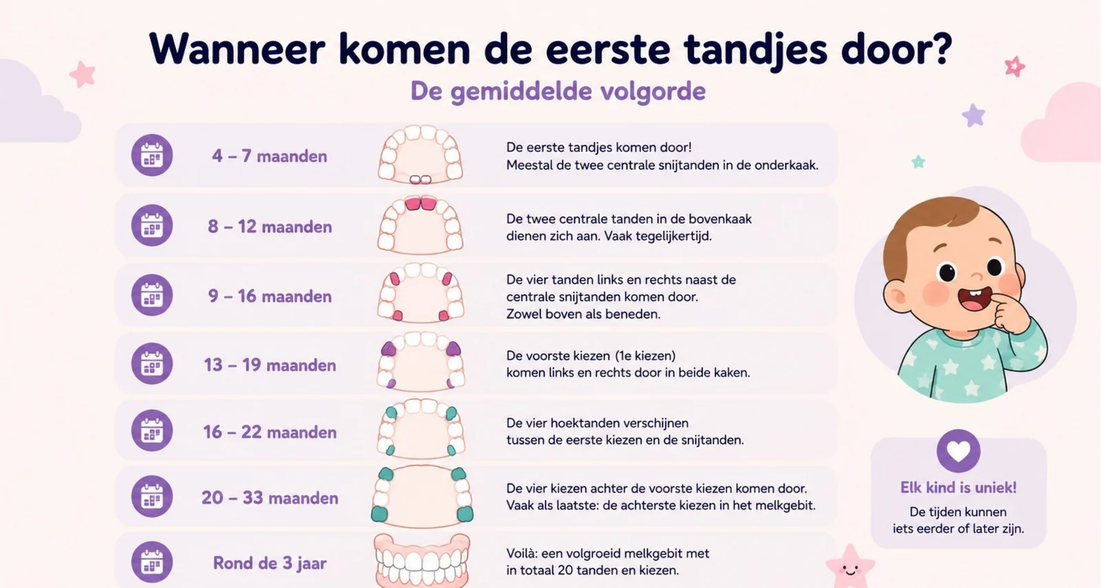 Slide uit de cursus met de gemiddelde volgorde waarin tandjes doorkomen: tussen 4 en 7 maanden de twee centrale snijtanden onder, daarna tussen 8 en 12 maanden de volgende.