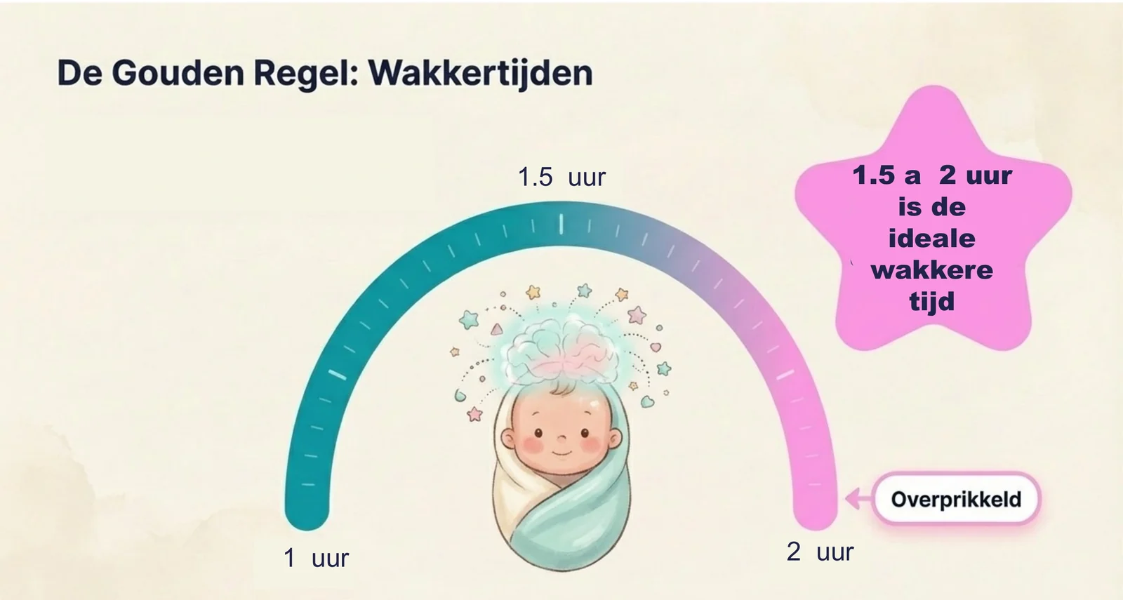 Slide uit de cursus met een tijdsboog van 1 uur naar 2 uur en anderhalf uur in het midden, en de richtlijn dat anderhalf tot twee uur de ideale wakkertijd is voordat ze overprikkeld raakt.