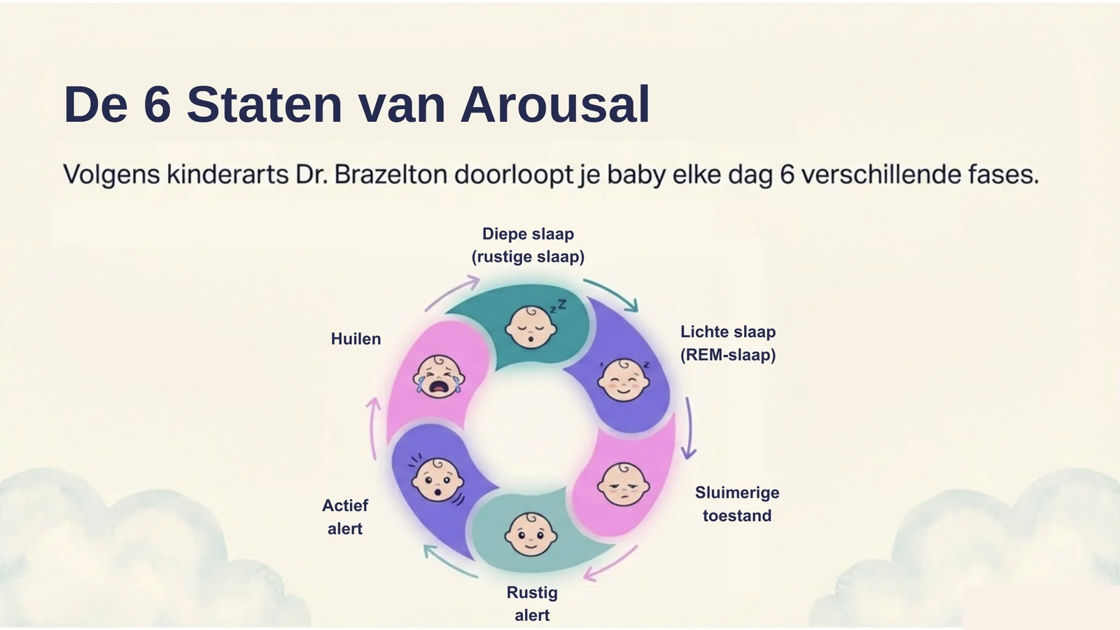De zes staten van arousal als cirkel, volgens kinderarts Dr. Brazelton: diepe slaap, lichte slaap oftewel REM-slaap, sluimerige toestand, rustig alert, actief alert en huilen.